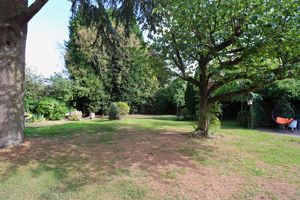 Photo 41- click for photo gallery